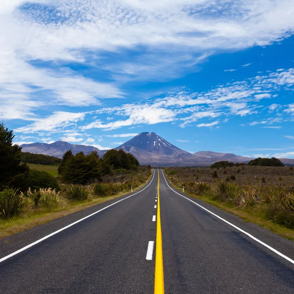 stock image Road leading to active volcanoe Mt Ngauruhoe, NZ