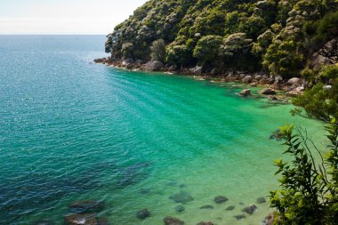 Sakin koyda abel tasman np, Yeni Zelanda