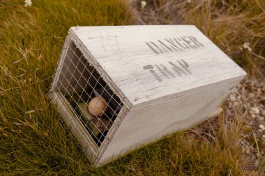 Small animal trap with written warning for humans clipart
