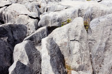 yağmur suyu karren denilen mermer taş oyma