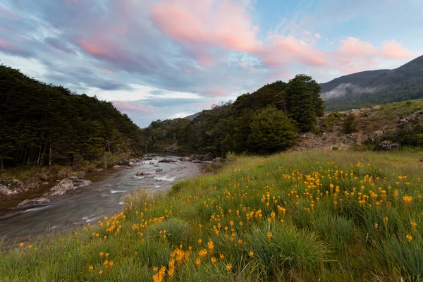 Sunset in Cobb valley of Kahurangi NP, New Zealand — Stock Photo, Image