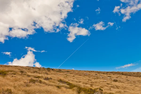 丘の中腹に青い空を背景に黄色い草を乾燥します。 — ストック写真