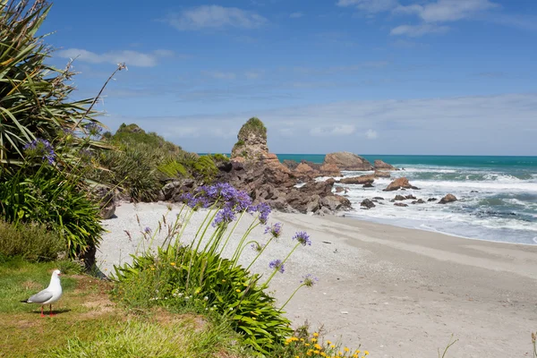 Tasman Sea sulla costa occidentale dell'isola meridionale di NZ — Foto Stock