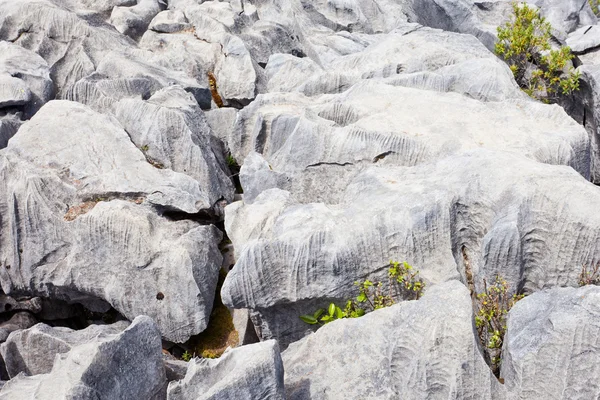 Rainwater carved marble rock called karren — Stock Photo, Image