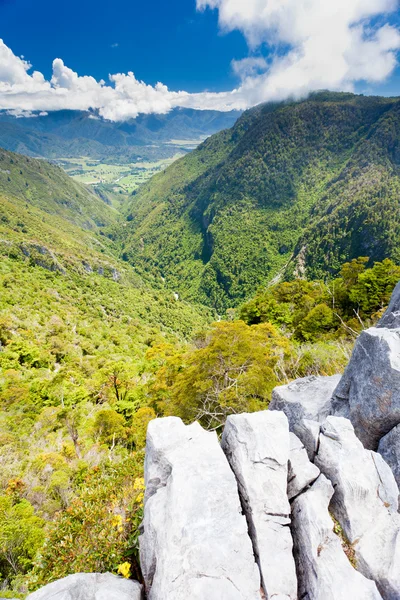 Afloramientos de piedra caliza de la colina de Takaka, valle de Takaka, Nueva Zelanda —  Fotos de Stock