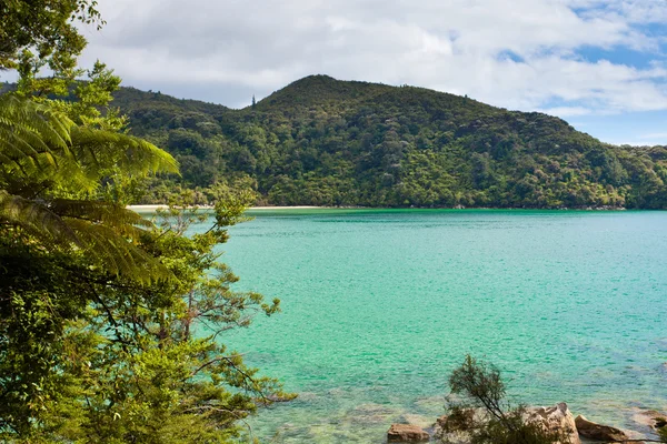 Baía de Tranquil em Abel Tasman NP, Nova Zelândia — Fotografia de Stock