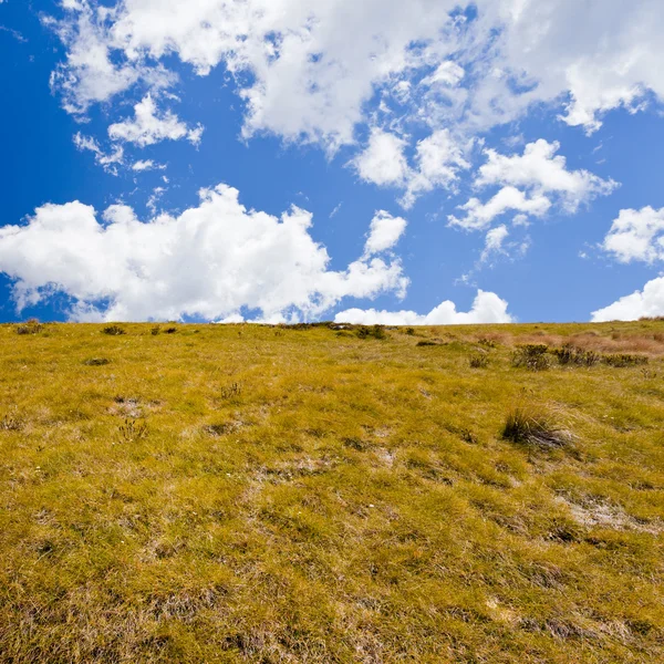 Hierba amarilla seca en la ladera contra el cielo azul —  Fotos de Stock