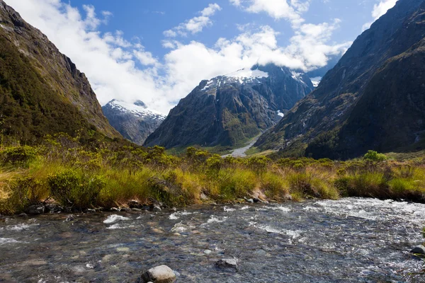 Valle del río Hollyford en Fjordland NP, Nueva Zelanda — Foto de Stock
