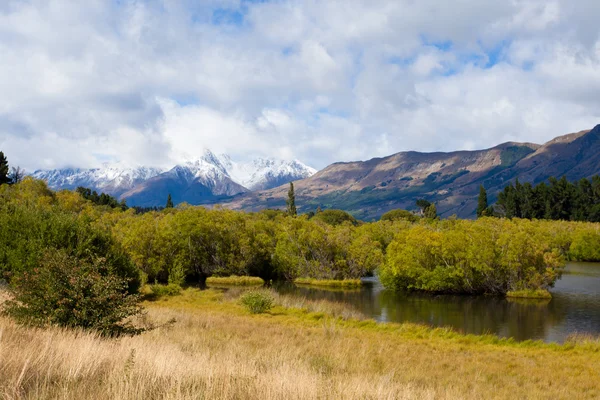 Pântano, picos e Mt Aspiring NP, Alpes do Sul, NZ — Fotografia de Stock