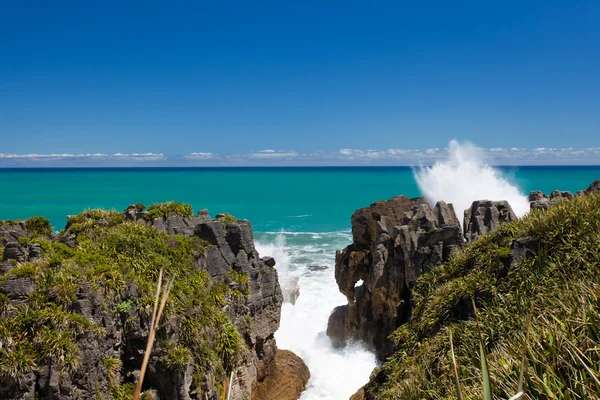 Surf i blowhole Pannekake Rocks i Punakaiki, NZ – stockfoto