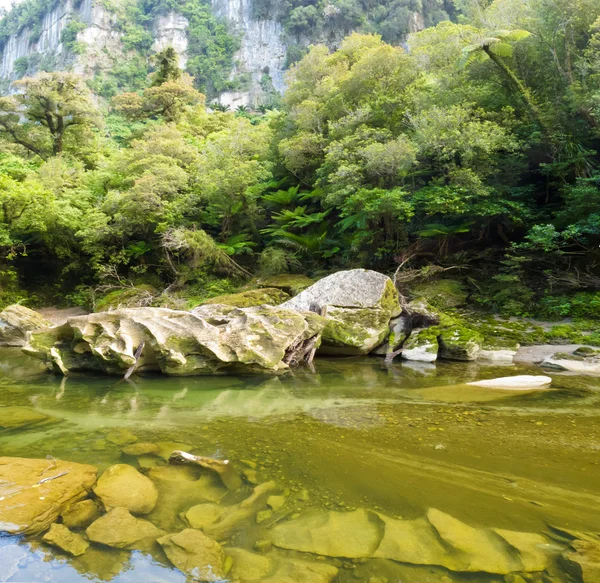 Buja zöld rainforest Nz Pororai-folyó mentén — Stock Fotó