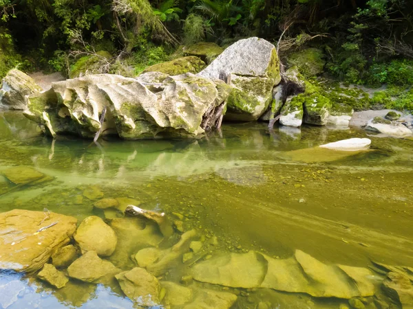 Floresta tropical verde exuberante ao longo do rio Pororai, NZ — Fotografia de Stock