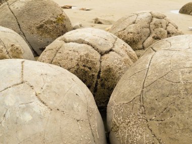 closeup küresel ünlü moeraki boulders, Yeni Zelanda