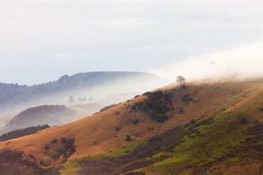 Bad weather fogs on Otago peninsula landscape, NZ clipart