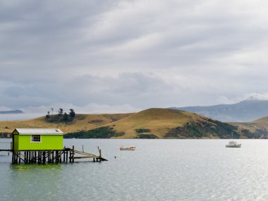 Otago peninsula coastal landscape, Dunedin, NZ clipart
