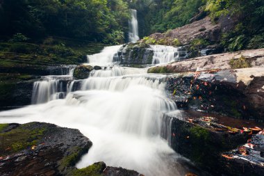 Yeni Zelanda catlins bölgede McLean düşüyor