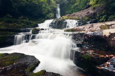 McLean Falls in The Catlins region of New Zealand clipart