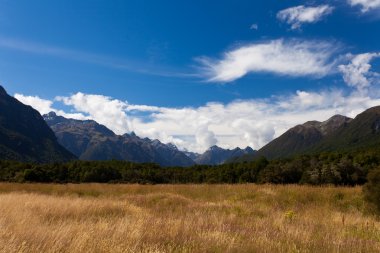 High peaks of Eglinton Valley in Fjordland NP, NZ clipart