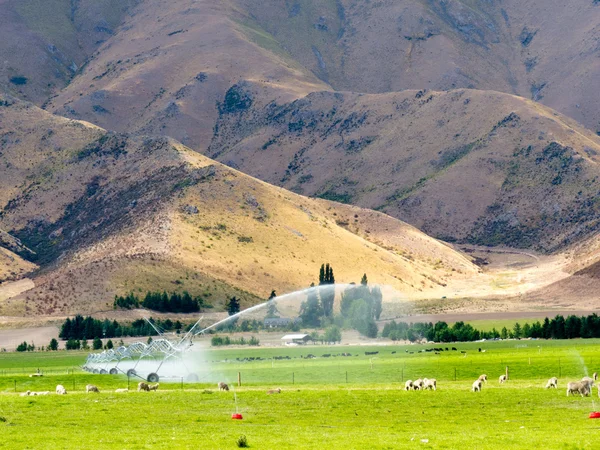 Irrigação de pastagens exuberantes no centro de Otago, NZ — Fotografia de Stock