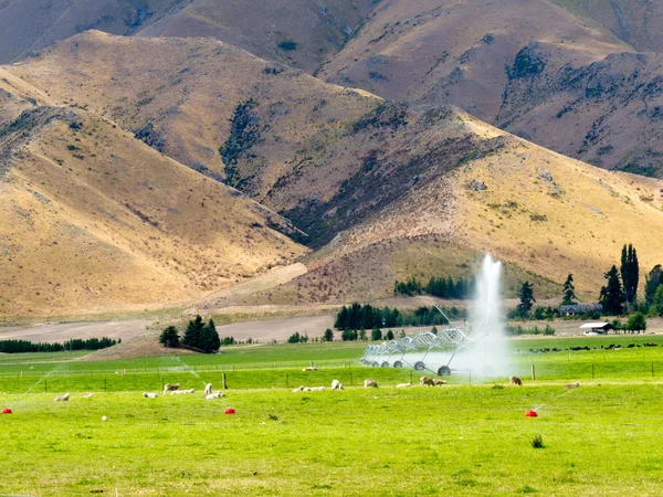 Άρδευσης αγροκτήματος πλούσια λιβάδια στην κεντρική otago, Νέα Ζηλανδία — Φωτογραφία Αρχείου