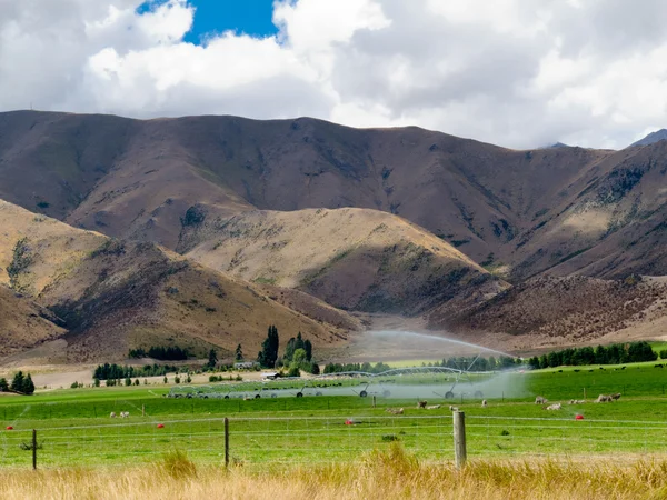 Irrigação de pastagens exuberantes no centro de Otago, NZ — Fotografia de Stock