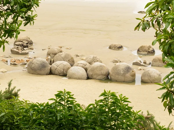 Stock image Famous NZ travel destination of Moeraki Boulders