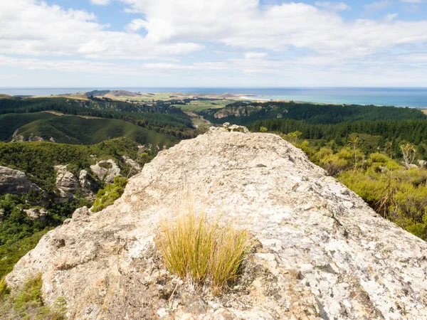 Affioramenti rocciosi di Gola di Trotters, Otago, NZ — Foto Stock