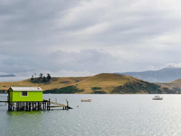 Прибрежный пейзаж полуострова Отаго, Данидин, Новая Зеландия — стоковое фото