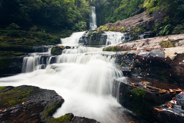 McLean Falls i Catlins-regionen i New Zealand - Stock-foto