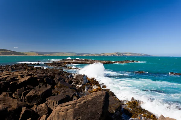 Curio Bay, Südküste Neuseelands Südinsel — Stockfoto