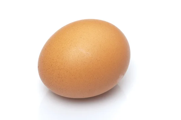 stock image One egg