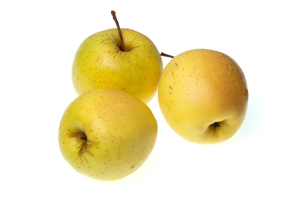 Tři žlutého jablka — Stock fotografie