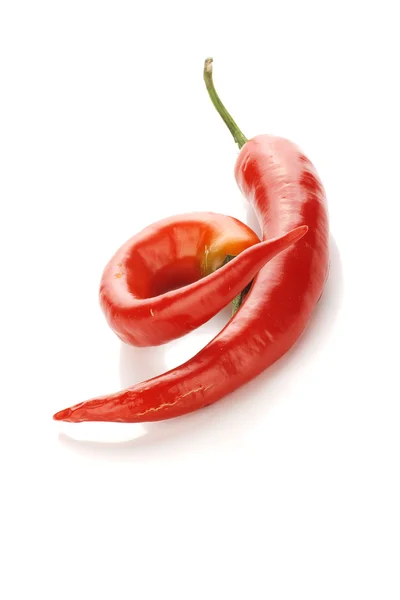 stock image Two red chilly peppers