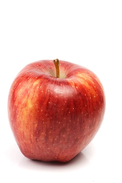 Jedno červené jablko — Stock fotografie