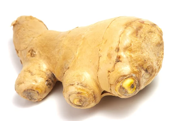 Rooth of ginger — Stock Photo, Image