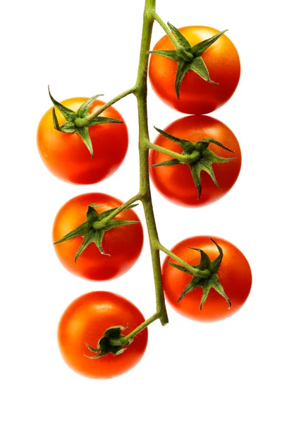 チェリー トマトのヒープ — ストック写真