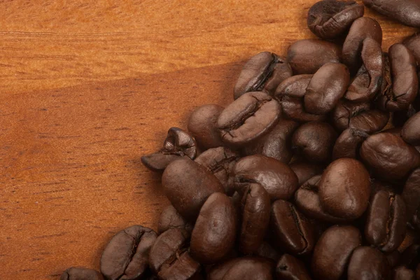 Coffee crops — Stock Photo, Image