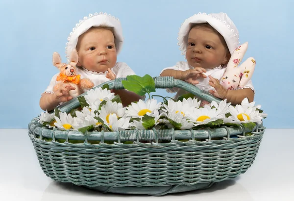 Два младенца в корзине — стоковое фото