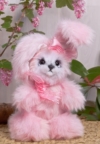Divertente coniglio di Pasqua — Foto Stock