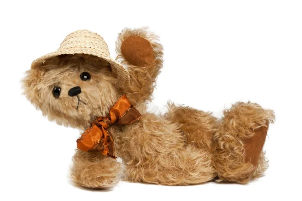 Holliday: Teddy Bear — Stock Photo, Image