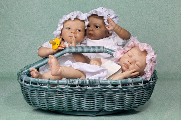 Three Baby in Basket