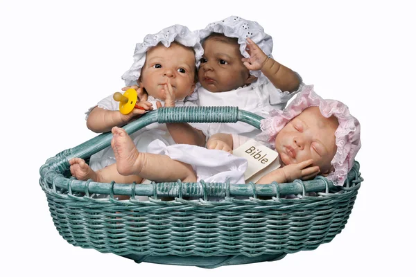 Трое младенцев в корзине — стоковое фото