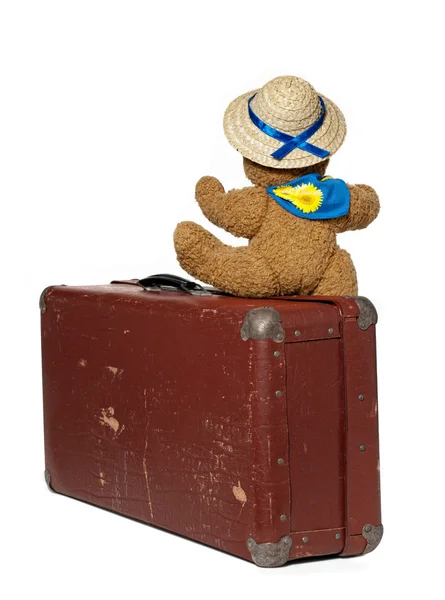Suitcase with Teddy — Stock Photo, Image