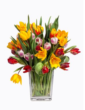 Tulips Bouquet isolated on white clipart