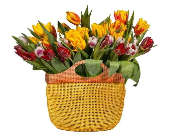 Tulips Bouquet isolated on white — Stock Photo, Image