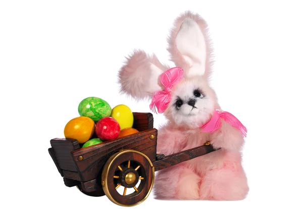 Conejo de Pascua conejo — Foto de Stock