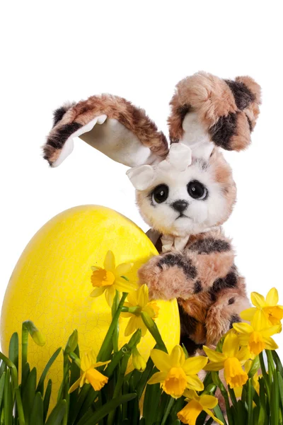 Lindo conejo de Pascua con huevo de Pascua —  Fotos de Stock
