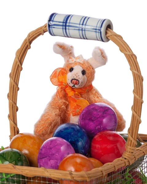 Velikonoční králíček — Stock fotografie