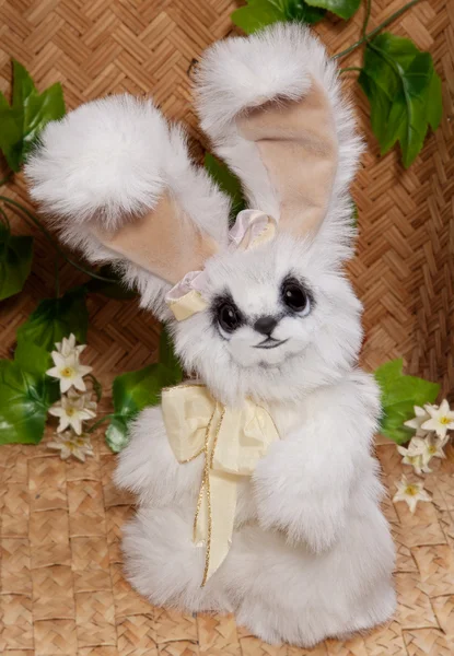 Zabawny króliczek wielkanocny — Zdjęcie stockowe