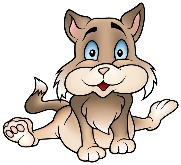 褐色小猫 — 图库照片
